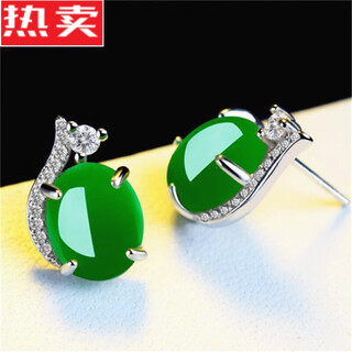 Snqp green jade ice earrings 2024 new style unique jade earrings national style new chinese style earrings women's jasper earrings