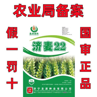 Новый jimai, оригинал, оригинальное национальное одобрение, jimai 22, семена озимой пшеницы, высокая урожайность, высокое качество, короткий стебель, устойчивость к полеганию, большой початок, высокоурожайные семена пшеницы jimai 22, оригинал 10 jin jin, эквивалентно 0,5 кг, 3 мешка