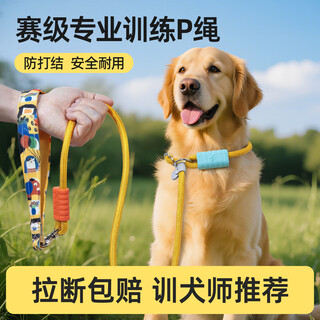 Qioh p rope p chain dog leash dog walking chain small, medium and large dog training dog explosion-proof punch knotted golden retriever pet supplies lemon yellow anti-strangle anti-winding explosion-proof punch length 150cm