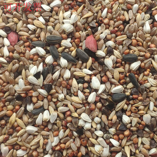 Young pigeon feed, small pigeons, corn-free, pea-free, small-mouthed pigeon nutrition, pigeon food, homing pigeon bird food, pigeon food, bird food 10jin jin is equal to 0.5 kg, no corn, no pea, pigeon food