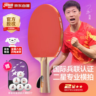 红双喜（DHS）乒乓球拍二星级横拍进阶H2002反胶单拍附拍包