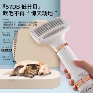 Pet hair dryer, all-in-one quick-drying bichon teddy fluffy comb, cat and dog bathing and blow-drying tool, dry + double