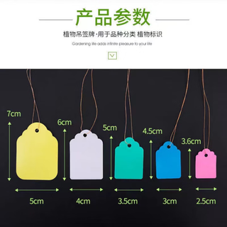 Runhuanian plastic pvc hang tag identification plate color hanging tag seedling label plant fruit tree writeable flower tag waterproof green 7*5cm (500 sheets)