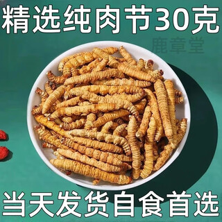 断虫草断草正品冬虫夏草断草精选高海拔断草自用实惠装泡酒炖汤 那曲大号纯肉30克-下单再送1克
