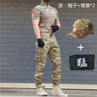 Ludun camouflage suit men's field suit spring and autumn outdoor camouflage t-shirt stretch tactical frog suit cs combat instructor uniform cp color (short sleeves + pants) including hat/armband m