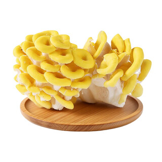 Yuhuang mushroom 250g