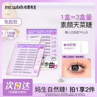Mr. wish glue-free false eyelashes plus eyelash book large box natural sunflower plus 120 clusters chinese valentine's day gift