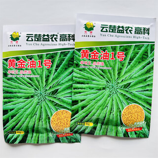 Hanfei oil 1701 agricultural oil 68 rapeseed seed high yield, high oil, low stem, cold resistant and disease resistant brassica rapeseed (7) golden oil no. 1 80g