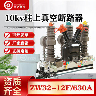 温以嘉ZW32-12F/630户外智能高压真空断路器10KV真空交流断路器带看 630A 2P