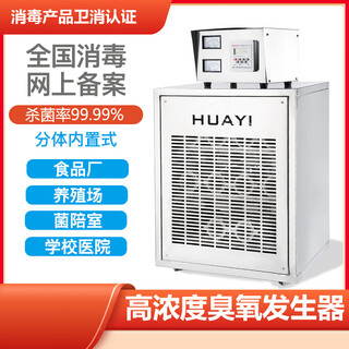 Huayixing built-in ozone generator industrial air conditioning unit pharmaceutical factory food factory workshop purification ozone disinfection machine hy-20n