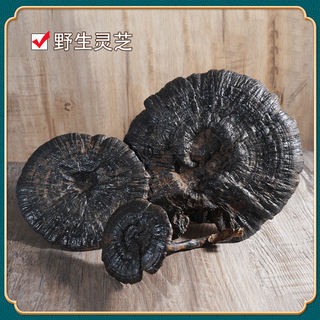 Official flagship store genuine black ganoderma wild authentic pruned pure natural spore powder deep mountain red guangxi shiwanda mountain wild ganoderma florets 1000g (diameter less than 8 cm