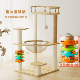 Tang mijiji bold large cat climbing frame cat nest cat tree integrated space capsule cat rack small household small household sisal cat toy love meow turntable toy fun and interesting