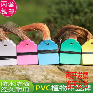 奔新农塑料实验小挂牌绿植花卉标签防水吊牌园艺苗木吊牌兰花植物标签 5*7绿100张