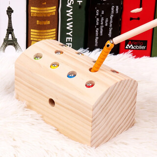 Xiaobei toys children's toys fishing magnetic catching bug game one caterpillar 2 montessori early education baby 1-3 and a half years old wood color 1 stick 10 bugs