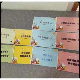 PEAK特殊儿童孤独症儿童训练模块PCA评估训练学习中文翻译 PCA一套