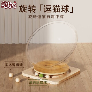 Pet neighbor cat space capsule cat nest cat toy all-season cat sleeping nest transparent turntable cat toy cat bed all-in-one