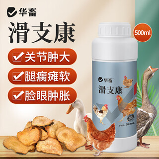 Huazhu chick feed pellets chick chicken premix rutin chicken feed quail chicken fish bait duckling goose feed 1 bottle hua zhi kang 500ml for swollen joints and soles of the feet