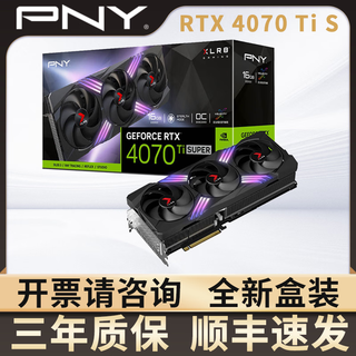 PNY必恩威RTX 4070 Ti SUPER独立显卡16G电竞游戏渲染直播剪辑台式机 RTX 4070 Ti SUPER【全新盒装】 16GB
