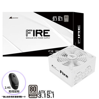 长城（GreatWall） Fire白金全模组电源 台式机主机电源/自动启停 F12白金全模白色ATX3.1（额定1200W）