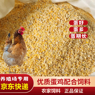 Corn grits for chickens, full-price feed for laying hens, corn grits for chickens, high-nutrition, high-protein corn flour feed for laying hens, freshly ground corn grits 5 jin jin equals 0.5 kilograms