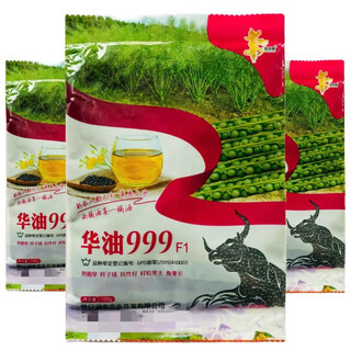 Huayou 999 colza à maturation précoce et à haute teneur en huile poteau en acier anti-chute grandes graines de colza d'automne et d'hiver / 3 paquets de sac de colza huayou 999 100g