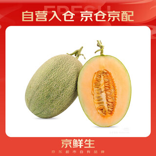 京鲜生 哈密瓜/西州蜜 1粒装 单果2.5斤起 生鲜水果