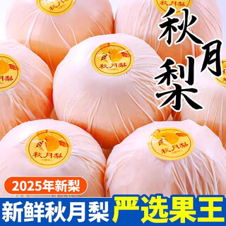 Qiuyue pear, fresh seasonal fruit, crispy and sweet rock sugar pear, seasonal fruit for mid-autumn festival, preferred large fruit for gifts, qiuyue pear, medium-large fruit (single fruit 200g) 3jin jin equals 0.5 kg