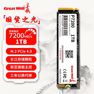 长城 1TB SSD固态硬盘 NVMe M.2接口 PCIe4.0 长江存储颗粒电脑PS5游戏扩展盘 P7200系列 P7200-1TB