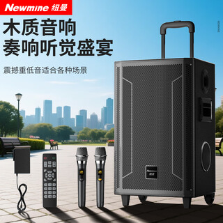 Newmine n530 12-inch square dance bluetooth speaker high-power outdoor mobile portable trolley home karaoke high-volume wireless audio super long battery life dual microphone 7 speakers