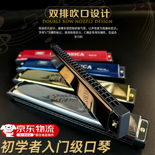 Yuan nationality harmonica, entry-level wind instrument for beginners, 24-hole metal brass core, double row, student self-taught playing, children's gift, silver, free storage box
