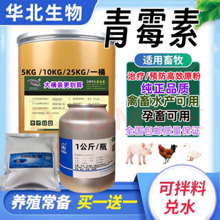 North china veterinary prevention raw powder soluble powder 98% chicken, duck, fish, pig, dog, cattle, sheep, poultry and livestock aquatic feed additive penicillin 1 jin jin is equal to 0.5 kg. free 1 jin jin is equal to 0.5 kg (actual delivery is 2 jin jin is equal to 0.5 kg)