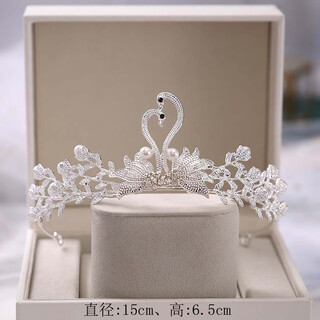 Princess crown tiara girls 18th birthday birthday tiara best friend gift bride wedding crown headband hg-32 swan