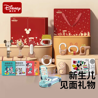 Disney迪士尼新生儿见面礼新生儿礼盒满月礼婴儿见面礼婴儿玩具手摇铃