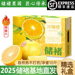 储褚官方云南储褚冰糖橙 哀牢山纯甜橙子新鲜水果顺丰包邮生鲜礼盒装 带箱10斤特级(单果70-75mm)官方甄选