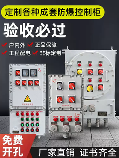 Bxmd51 explosion-proof distribution box explosion-proof distribution cabinet explosion-proof positive pressure cabinet anti-work box explosion-proof control lighting box 1-circuit standard lighting