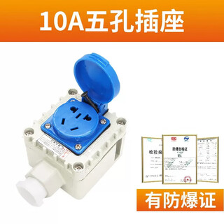 Explosion-proof socket 220v waterproof plug-in strip exposed and concealed industrial explosion-proof wall switch five holes ten holes five holes 10a