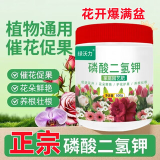 绿沃力磷酸二氢钾肥料花卉蔬菜通用农用养植物盆栽促花磷钾肥水溶叶面肥 磷酸二氢钾500g