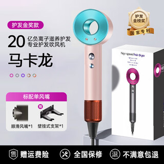 Leifen upgraded version national 3c certification丨5 billion negative ion hair care official flagship high-speed hair dryer household negative ion hair care silent quick-drying high wind leafless hollow super macaron-single nozzle 2 billion hydrating negative
