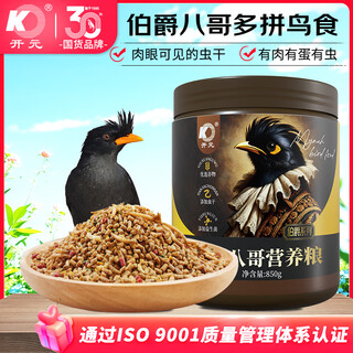 Kaiyuan starling bird food earl full price starling bird food special bird food starling full price bird food beautiful feather improvement and strong fat bird food