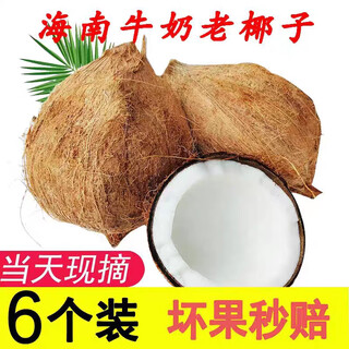 Fat donglai's same style fresh coconut, authentic hainan old coconut, hairy coconut, fresh seasonal fruit, green coconut, 6 packs, 1 pack