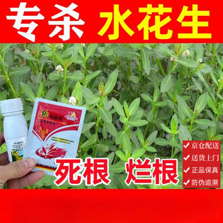 Especialmente diseñado para matar las raíces podridas del maní de agua y erradicar el revolucionario jacinto de agua de la hierba de semilla de loto. plaguicida herbicida especial nemesis 100ml