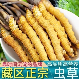 内廷上用【黑色星期五】虫草正宗冬虫夏草藏区高海拔头期干货虫草泡酒材料 新店亏本冲销量/高品质纯肉虫草 手工挑选纯肉虫草[102根]