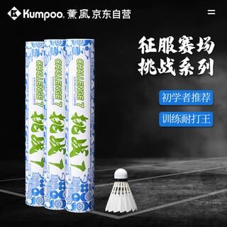 薰风（KUMPOO）挑战7羽毛球 耐打飞行稳定熏风专业训练比赛用球12只装