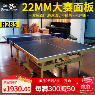 双鱼（DOUBLE FISH）双鱼乒乓球桌家用可折叠移动标准室内R285兵乓球台桌22mm案子 R285 黑面22mm