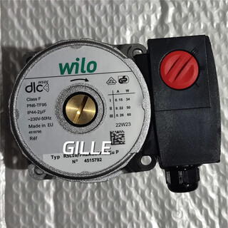 Gas wall-hung boiler german wilo water pump original accessories motor motor 57 59 60 63 c model-60w-yyj (imported new single motor)