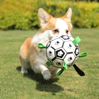 Xinnan dog toy ball side collie self-playing toy labrador corgi training special dog football bite-resistant pet supplies thickened s-diameter 15cm small and medium-sized dogs