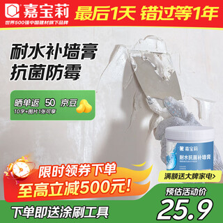Carbaoli wall repair paste anti-mildew and antibacterial wall repair paste white wall decontamination repair putty powder paste wall peeling waterproof water-resistant 1kg