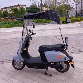 Electric car new awning canopy battery car motorcycle windshield sun protection parasol portable folding car model with rearview mirror portable folding storage awning golden wheat ear