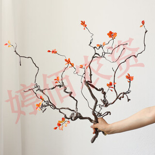 Dragon jujube branches branches zen wabi-sabi air-dried flowers vase flower arrangement living room hotel model room decoration ornaments maple leaf dragon jujube branches 2 short branches random shape 40-55cm