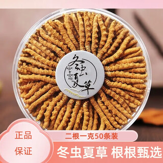 正品冬虫夏草头期头茬新干草送礼佳品 冬虫夏草2根一克50根
